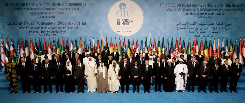 Turkey’s role in the OIC. The Istanbul Summit of OIC



